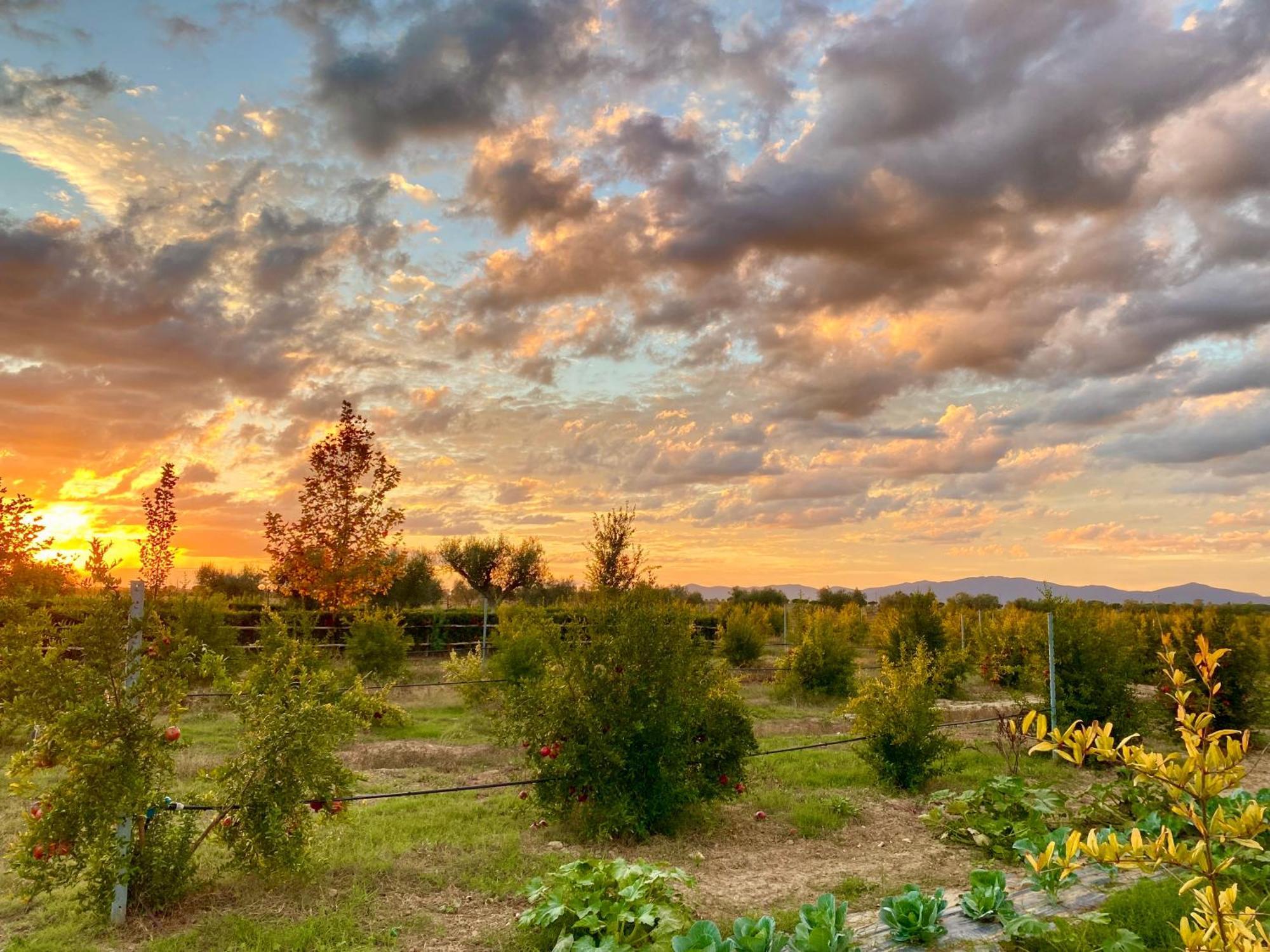 Le Grazie Farm stay Principina Terra